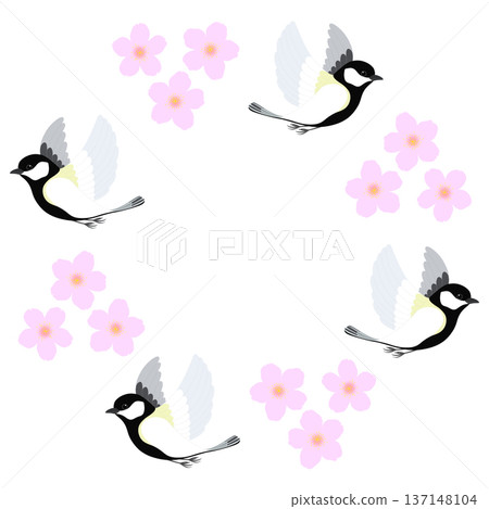 Cherry blossoms and birds illustration Cherry blossoms and birds illustration 137148104