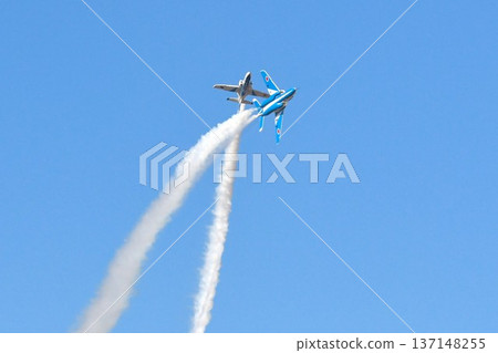 藍色的衝動在藍天中飛翔 137148255