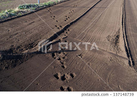 Vat pattern Vat pattern 137148739