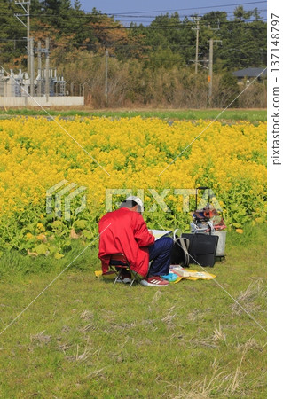 一個在油菜花田裡作畫的人 137148797
