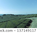 The view from Yame Central Tea Plantation 137149117
