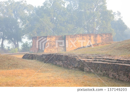 Landscape of Lumbini, Nepal with green tree forest and brick ruins in morning mist Landscape of Lumbini, Nepal with green tree forest and brick ruins in morning mist 137149203