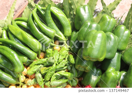 chili peppers on tree in farm are cash crops chili peppers on tree in farm are cash crops 137149467