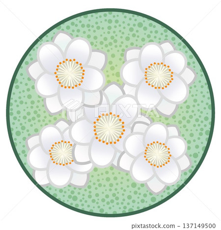 Illustration of a white blossom peach with a circular background Illustration of a white blossom peach with a circular background 137149500