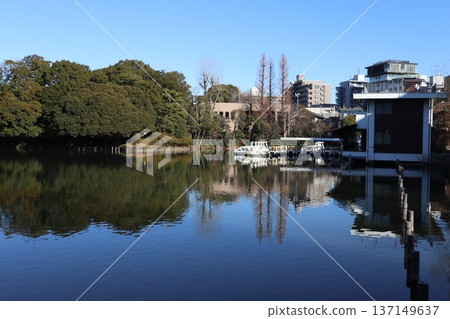 Ota-ku Washing pond Ota-ku Washing pond 137149637