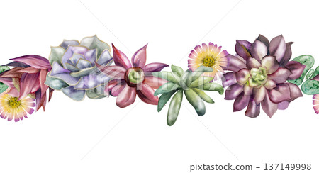 Rosette succulent echeveria, aeonium with fleshy layered leaves, daisy flower in seamless flow. Isolated illustration hand drawn in watercolor. Botanical banner for website headers, organic cosmetics Rosette succulent echeveria, aeonium with fleshy layered leaves, daisy flower in seamless flow. Isolated illustration hand drawn in watercolor. Botanical banner for website headers, organic cosmetics 137149998