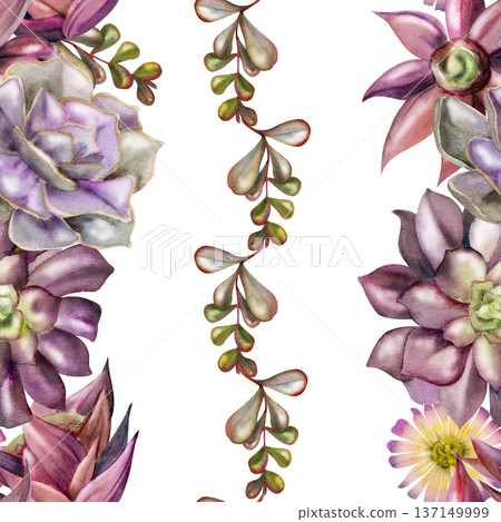 Botanical seamless striped pattern of watercolor succulents, flowering cacti, flowing vines. Isolated illustration hand drawn in watercolor. Apparel prints, home accessories, modern decor backgrounds. Botanical seamless striped pattern of watercolor succulents, flowering cacti, flowing vines. Isolated illustration hand drawn in watercolor. Apparel prints, home accessories, modern decor backgrounds. 137149999