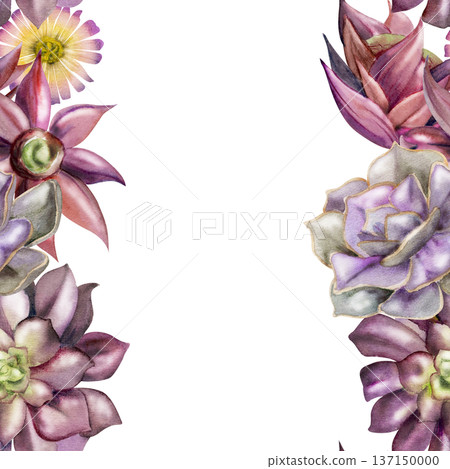 Mauve, purple rosette araucaria, echeveria succulents, daisy cactus flowers. Isolated illustration hand drawn in watercolor. Seamless banner for creative agencies, eco startup, contemporary home decor Mauve, purple rosette araucaria, echeveria succulents, daisy cactus flowers. Isolated illustration hand drawn in watercolor. Seamless banner for creative agencies, eco startup, contemporary home decor 137150000