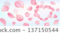 Pink sakura petals forming heart shape on soft pastel background. Romantic spring mood for valentine, mother day, wedding greeting card and seasonal love design 137150544