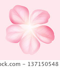 Pink Sakura Blossom Isolated on Soft Pastel Background Vector 137150548