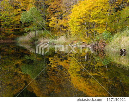 [秋山鄉]秋天的天地池_03 137150921