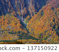 [Akiyamago] Autumn in Akiyamago_01 137150922