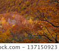 [Akiyamago] Autumn in Akiyamago_02 137150923