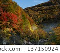 [Akiyamago] Autumn in Akiyamago_03 137150924