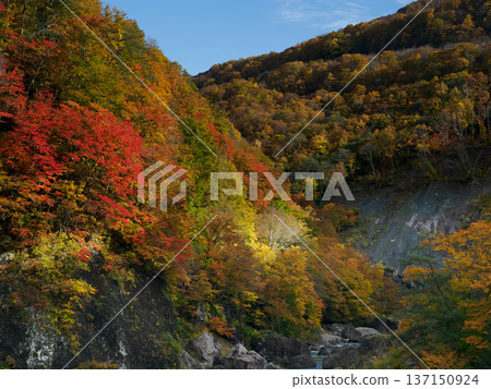 [秋山鄉] 秋山鄉的秋天_03 137150924