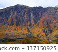[Akiyamago] Autumn in Akiyamago_Mt. Torikabuto_01 137150925
