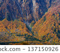 [Akiyamago] Autumn in Akiyamago_Mt. Torikabuto_02 137150926