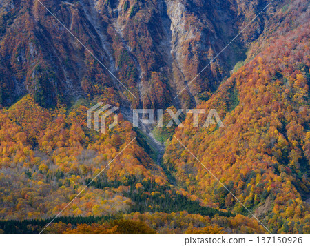 [秋山鄉]秋山鄉_秋山鄉鳥甲_02 137150926