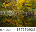 [Akiyamago] Autumn Tenchi Pond_01 137150928