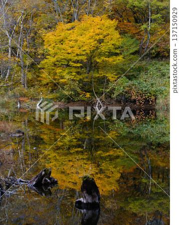 [秋山鄉]秋天的天地池_02 137150929