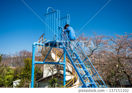 Japanese boy climb up slider by cherry sakura blossom, Matsumoto Japanese boy climb up slider by cherry sakura blossom, Matsumoto 137151102