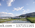 Scenery with rice field 137151165