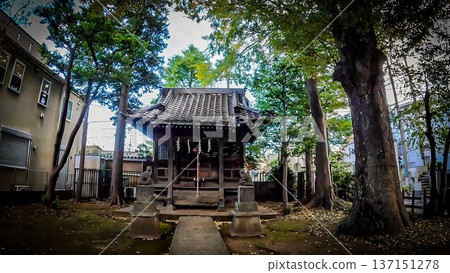 東京都世田谷區瀨田4丁目笠森稻荷神社 137151278