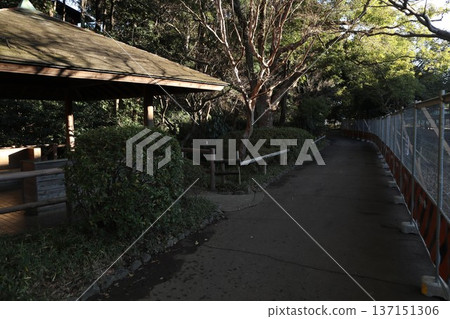 大田區田園調布Seseragi公園 137151306