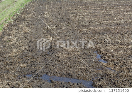 Rice field soil making Rice field soil making 137151400