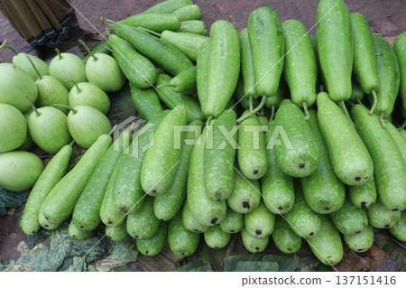 bottle guard stock on shop are cash crops bottle guard stock on shop are cash crops 137151416