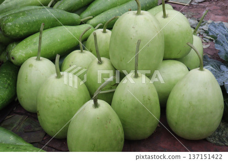 bottle guard stock on shop are cash crops bottle guard stock on shop are cash crops 137151422