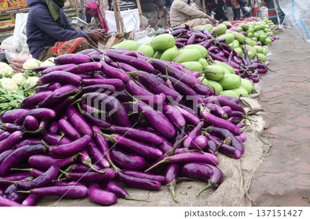 purple Brinjal on shop for harvest are cash crops purple Brinjal on shop for harvest are cash crops 137151427