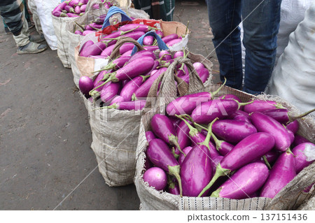 purple Brinjal on shop for harvest are cash crops purple Brinjal on shop for harvest are cash crops 137151436