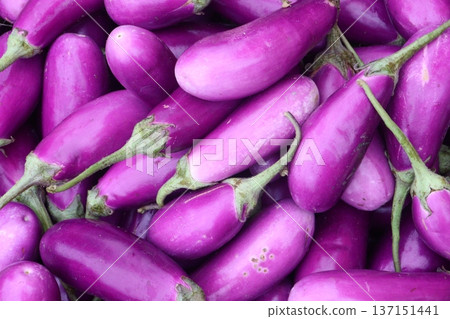 purple Brinjal on shop for harvest are cash crops purple Brinjal on shop for harvest are cash crops 137151441
