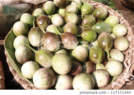 purple Brinjal on shop for harvest are cash crops purple Brinjal on shop for harvest are cash crops 137151444