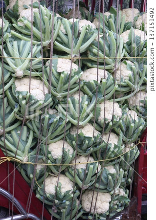 Cauliflower on shop for sell 137151492