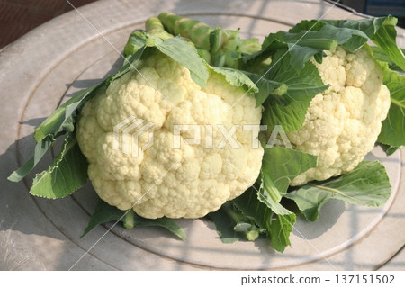 Cauliflower on shop for sell Cauliflower on shop for sell 137151502