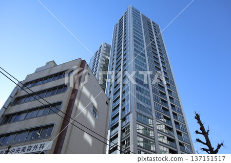 中野市容 137151517