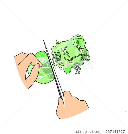 高麗菜切絲示意圖 | 烹飪及烹飪過程 137151527