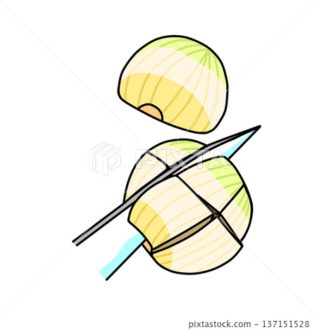 切洋蔥示意圖 | 烹飪及烹飪過程 137151528