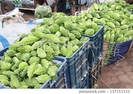 Raw Bitter melon Stock on Shop for sell Raw Bitter melon Stock on Shop for sell 137151533
