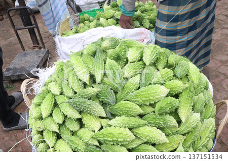 Raw Bitter melon Stock on Shop for sell Raw Bitter melon Stock on Shop for sell 137151534