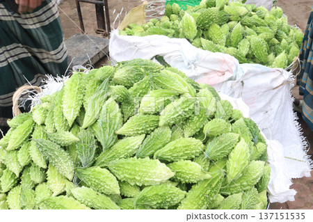 Raw Bitter melon Stock on Shop for sell Raw Bitter melon Stock on Shop for sell 137151535