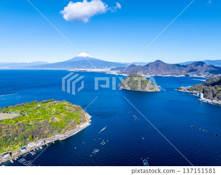 Suruga Bay, Uchiura Bay and Mount Fuji (Numazu City, Shizuoka Prefecture) 137151581