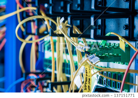 detail of server rack with fiber optic cables attached to front 137151771