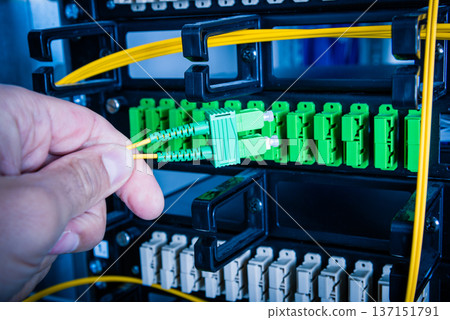 Hand of computer engineer connecting fiber optic cable in server Hand of computer engineer connecting fiber optic cable in server 137151791
