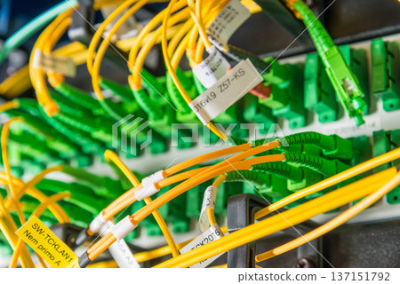detail of server rack with fiber optic cables attached to front detail of server rack with fiber optic cables attached to front 137151792