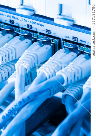 close-up of ethernet cables and switch close-up of ethernet cables and switch 137151796