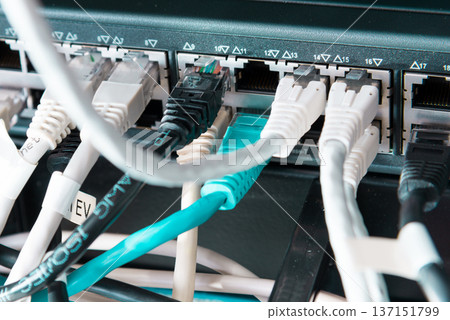ethernet cables connected to server switch ethernet cables connected to server switch 137151799
