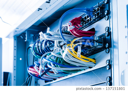 ethernet cables connected to server switch ethernet cables connected to server switch 137151801